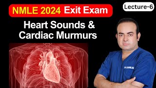 NMLE Exit Exam  Heart Sounds amp Cardiac Murmurs [upl. by Irrehc]