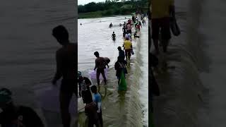 Korattur Lake water flow [upl. by Ettelorahc465]