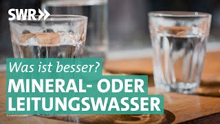 Mineralwasser – echt besser als Leitungswasser  Marktcheck SWR [upl. by Aidnyl]