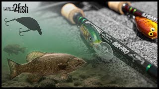 Gussys Shallow Diving Crankbait Strategy for Smallmouth Bass [upl. by Valley941]