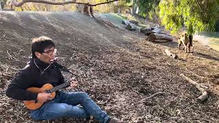 O Ina Ni Keke  Manado Song with Kangaroo  Ukulele amp Harmonica UNPLUGGED [upl. by Victoria]