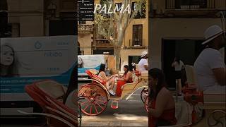 PALMA 🇪🇦 MALLORCA island  Spain 2024 [upl. by Gnil886]