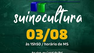 “Mais Pecuária” debate suinocultora no Brasil [upl. by Holofernes]