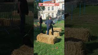 🇲🇫🐓fête les animaux parc de Ladoucette ville de Drancy paris france 🐅🗼 [upl. by Barri]