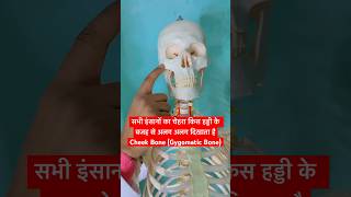 सभी इंसानों का चेहरा किस हड्डी के बजह से अलग अलग दिखाता है Cheek Bonezygomatic Bone viral shorts [upl. by Casady]