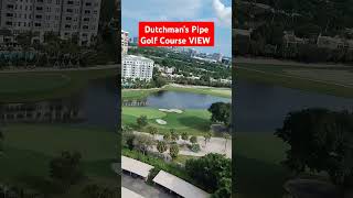 Dutchmans Pipe West Palm Beach Golf Course VIEW absolutely Beautiful youtubeshorts [upl. by Cassidy]