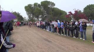 2010 CIF XC State Meet  Div 1 Boys [upl. by Ole36]