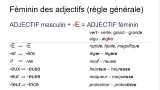 Les adjectifs – introduction  genre fémininmasculin – nombre plurielsingulier [upl. by Bonnell]