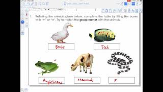 Integrated Science Chapter 3  Looking at Living Things  Body Features of Vertebrates 1 [upl. by Pliner]