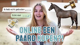 Mijn VRIEND kocht een paard voor mij ONLINE [upl. by Eceryt252]