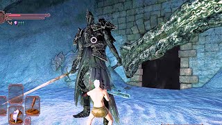 Dark Souls 2 SotFS  Lvl1 Deprived VS Fume Knight  No Damage Solo [upl. by Weaks655]