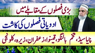 Feasibility of Different high value crops in Punjab  Crop Reformer [upl. by Yecart]