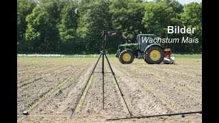 Mais  nur Häckseln ist schöner Wachstumsverlauf 2014  LG Seeds Deutschland [upl. by Bajaj]