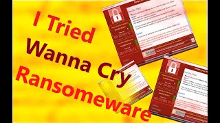 I Tried Most Dangerous Computer Viruses 5  Wanna Cry Virus [upl. by Sellig]