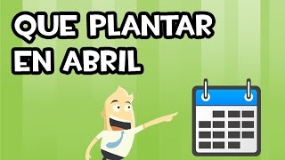 Que SEMBRAR y PLANTAR en ABRIL  Calendario de Siembra [upl. by Saihtam518]