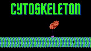 USMLE Step 1  Lesson 20  Elements of the Cytoskeleton [upl. by Ettenoitna475]