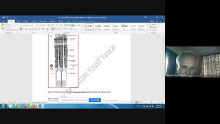 DENTINlec5oral histology دكتور اكرم [upl. by Laefar903]