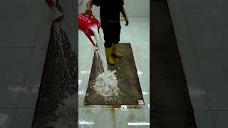 Pile Lifting – Lifts carpet fibers to restore appearance [upl. by Yellek826]