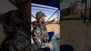 TIDEWE Blind shorts tidewe deerhunting archery trending bowhunting review asmr hunt hunter [upl. by Odnalor]