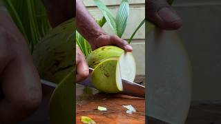 pure green coconut coconutcutting greencoconut [upl. by Areip]