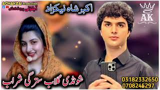 akbar shah nikzad new pashto song 2024  shonde gulab stargi sharab  pashto new songs Tapay [upl. by Wash]