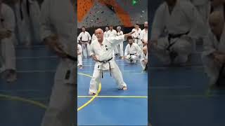 KARATE MAKOTOKAI  Allenare la difesa mantenendo ASSE e CENTRO artimarziali karate [upl. by Reve931]