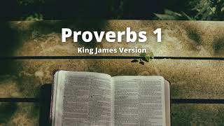 Proverbs 1  King James Version Audio Bible [upl. by Ivey]