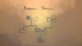 Autosomal Dominant Inheritance [upl. by Murdocca]