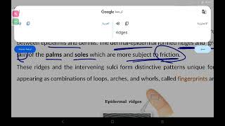 integumentary systempart 2 [upl. by Lekzehcey]