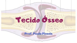 Histologia  Tecido Ósseo [upl. by Peggy927]