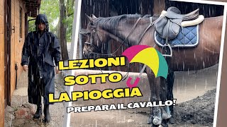 ROUTINE AL MANEGGIO  Preparare il Cavallo sotto la Pioggia equitazione [upl. by Feltie307]