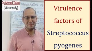 Streptococci 2 Virulence factors of Streptococcus pyogenes “Medical microbiologyquot [upl. by Sparrow970]