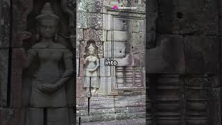 quotDid you knowquotDiscover the Secrets of Angkor Wat facts generalknowledge [upl. by Body14]