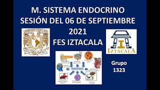 M Sistema Endocrino Sesión del Lunes 06 de Septiembre del 2021 [upl. by Ariahaj]