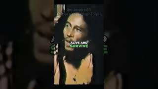 Bob Marley explains his success bobmarley interview bobmarleyinterview [upl. by Hadihahs192]