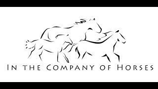 INterview with Ginger Krantz of Earth Horse Healing [upl. by Malinda524]