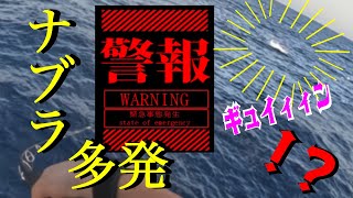 魚だらけ！鳥山だらけ！三重県オフショアキャスティング！今アイツが熱い！！ [upl. by Vasos29]