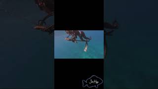 Mangrove snapper spearfishing [upl. by Alica]