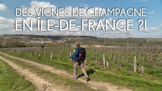 Les meilleures randonnées autour de Paris 10  Les vignes et coteaux de la Marne [upl. by Urdna]