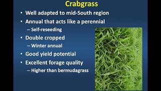 Extending Grazing Crabgrass [upl. by Anailuy703]