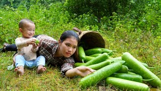 Harvesting Gourd to sell at the market  Gardening to prepare for planting Winter Spring vegetables [upl. by Fayina797]