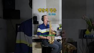 맨발의 청춘 최희준 Alto Saxophone 알토 색소폰 Cover shots [upl. by Ariamo48]