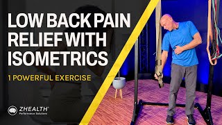 Low Back Pain Relief with Isometrics 1 Powerful Exercise [upl. by Karlis754]