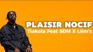 Tiakola  Plaisir Nocif Feat SDM X Liim’s [upl. by Eseerahs]