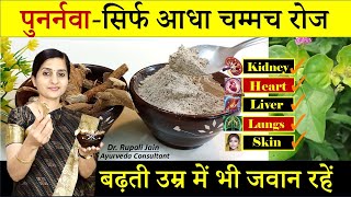 बुढ़ापा दूर भगाने वाली दवा  5 Amazing Health Benefits of Punarnava  पुनर्नवा के अनगिनत फायदे [upl. by Florian]