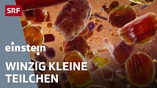 Revolution Nanotechnologie – die faszinierenden MiniTeilchen sind überall  Einstein  SRF Wissen [upl. by Martens90]