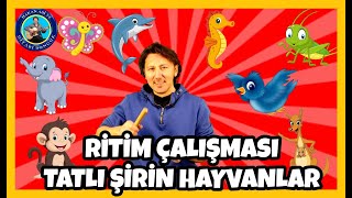 TATLI ŞİRİN HAYVANLAR ŞARKISI  Okul Öncesi Ritim Çubuğu Çalışması  Hakan Abi ve Gitarı Boncuk [upl. by Jabe]