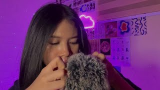 asmr lice check  bug searching 🐞🔎 lots of mouth sounds fast but not aggressive [upl. by Sucrad]