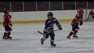 Mite Hockey Players Huge Hit Against Amarillo Bulls 10U  Orion Schoenberg [upl. by Ponce]