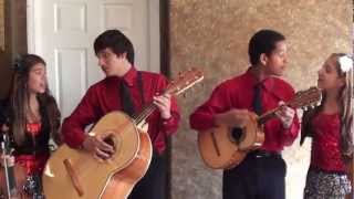 Teach Your Children Well Crosby Stills Nash amp Young Cover by Castillo Kids Nov 3 2012 [upl. by Kavita31]